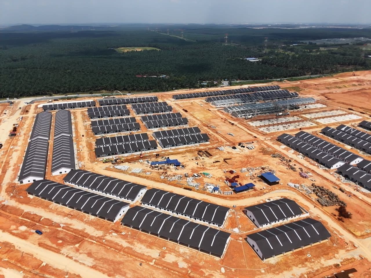 Aerial view of rows of dark-roofed buildings, exposed earth roads, and surrounding palm plantation.